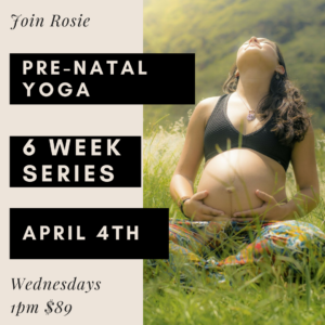 Prenatal Yoga Series